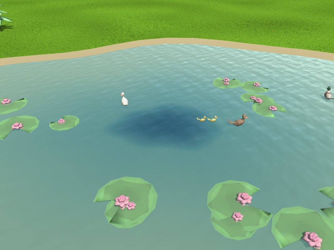 The farm pond with lily pads, pink water lilies and ducks with their ducklings on the water